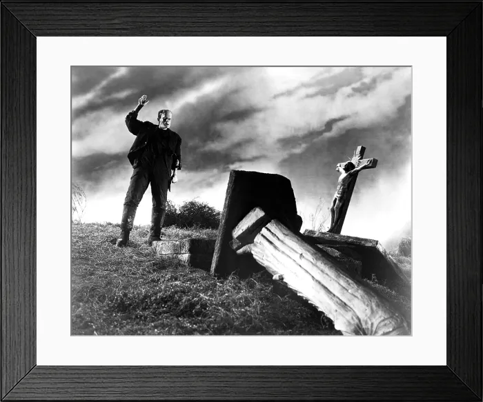 Framed Print : BRIDE OF FRANKENSTEIN, Boris Karloff, 1935 Framed Print : BRIDE OF FRANKENSTEIN, Boris Karloff, 1935
