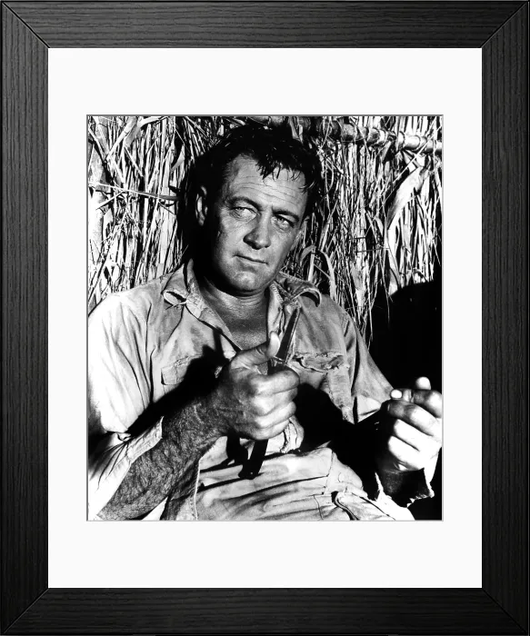Framed Print : THE BRIDGE ON THE RIVER KWAI, William Holden, 1957