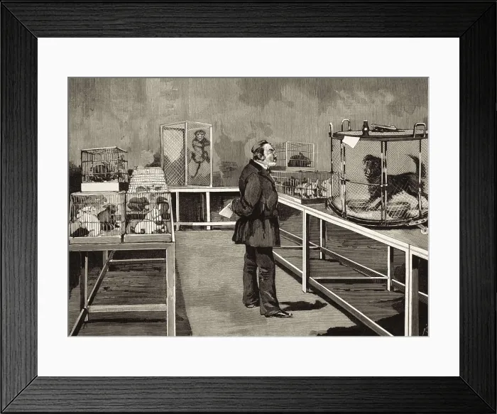 Framed Print : PASTEUR, Louis (1822-1895). Pasteur in his laboratory observing the effects of the inoculation of the 'rabies virus' in his experiments on hydrophobia (1884). Etching Framed Print : PASTEUR, Louis (1822-1895). Pasteur in his laboratory observing the effects of the inoculation of the 'rabies virus' in his experiments on hydrophobia (1884). Etching
