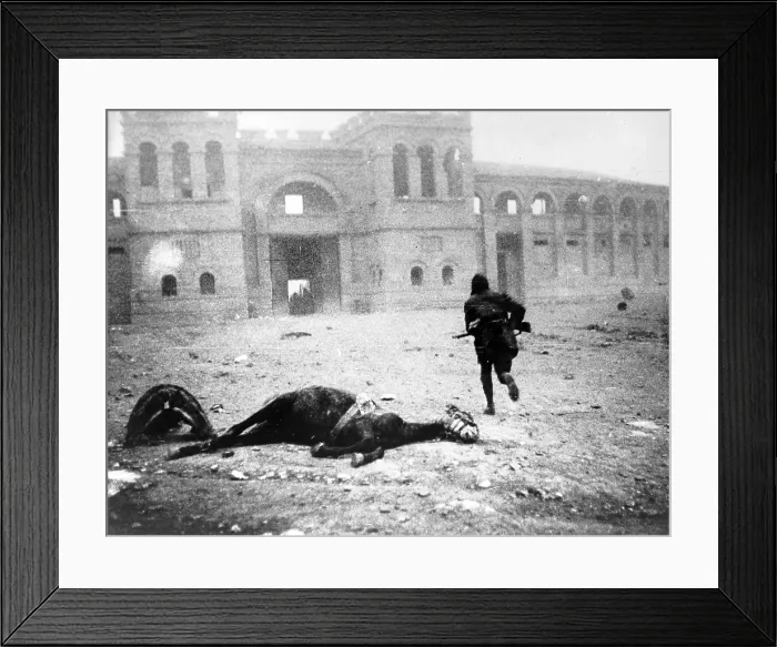 Framed Print : A Republican soldier passing a dead horse on the Plaza de Toros, armies battle for Tervel, Bulgaria, circa 1938 Framed Print : A Republican soldier passing a dead horse on the Plaza de Toros, armies battle for Tervel, Bulgaria, circa 1938
