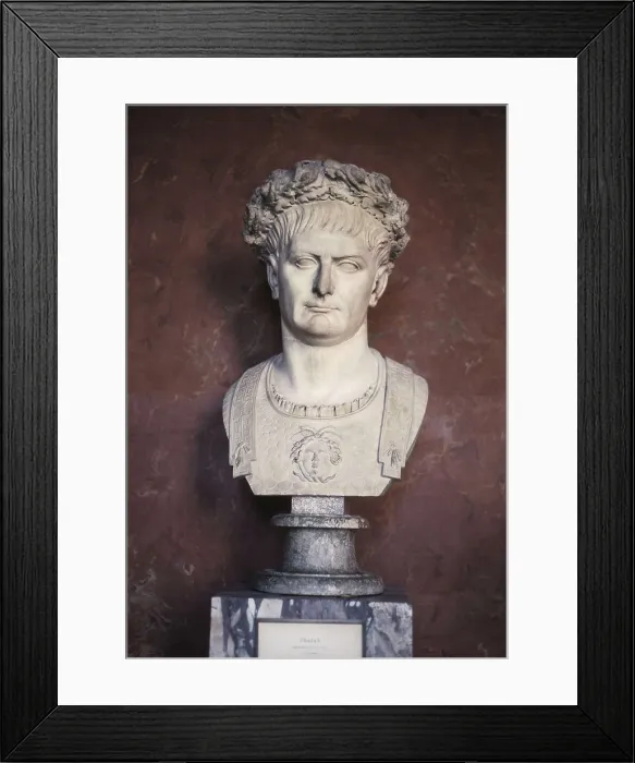 Framed Print : Trajan. 98 - 117. Bust with a laurel crown and a shield with a representation of Medusa. Sculpture on marble. FRANCE. Paris. Louvre Museum Framed Print : Trajan. 98 - 117. Bust with a laurel crown and a shield with a representation of Medusa. Sculpture on marble. FRANCE. Paris. Louvre Museum