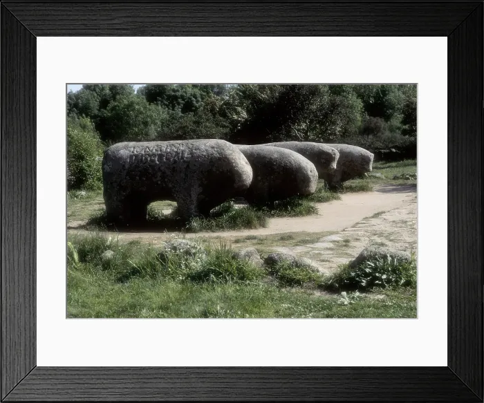 Framed Print : SPAIN. CASTILE AND LEON. AVILA. El Tiemblo. Bulls of Guisando, boars or magical representations of the second iron age (c. 5th c. BC). Iron Age. Sculpture Framed Print : SPAIN. CASTILE AND LEON. AVILA. El Tiemblo. Bulls of Guisando, boars or magical representations of the second iron age (c. 5th c. BC). Iron Age. Sculpture
