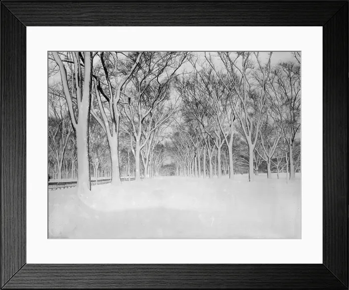 Framed Print : New York City, the Mall, Central Park, circa 1910-1915