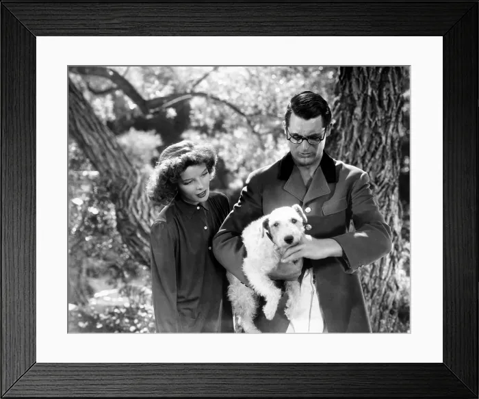 Framed Print : BRINGING UP BABY, from left, Katharine Hepburn, Cary Grant, (holding Asta, as George'), 1938 Framed Print : BRINGING UP BABY, from left, Katharine Hepburn, Cary Grant, (holding Asta, as George'), 1938