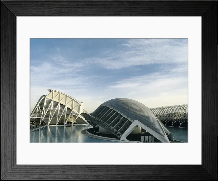Framed Print : SPAIN. VALENCIA. Valencia. City of Arts and Sciences. City of Arts and Sciences Framed Print : SPAIN. VALENCIA. Valencia. City of Arts and Sciences. City of Arts and Sciences