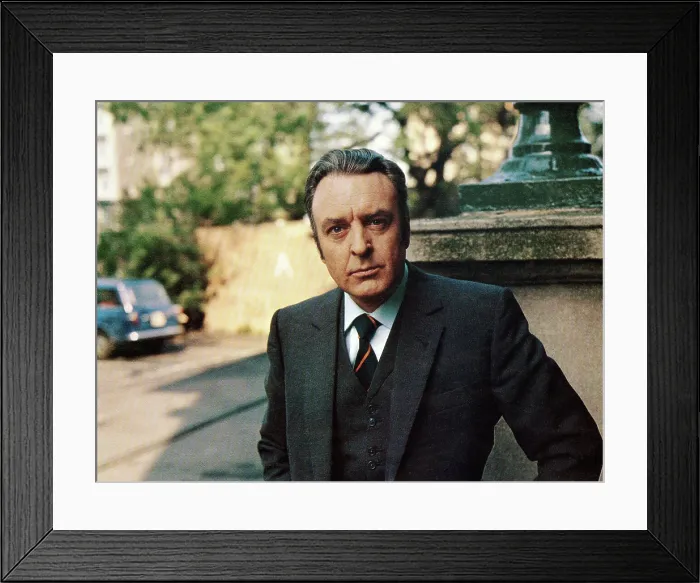 Framed Print : THE NATIONAL HEALTH, (aka THE NATIONAL HEALTH, OR NURSE NORTON'S AFFAIR), Donald Sinden, 1973