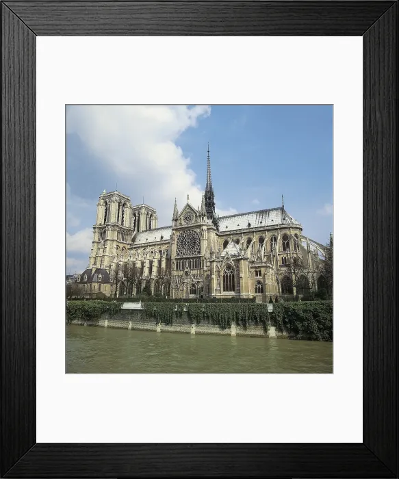 Framed Print : Notre Dame Cathedral of Paris. 1163-1345. FRANCE. LE-DE-FRANCE. Paris. Cathedral of Notre-Dame. South side. Gothic art. AISA / Everett Collection**US SALES ONLY**