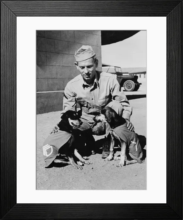 Framed Print : World War II, Private First Class Norman Diamond, gives a congratulatory pat to Staff Sergeant Basic and Private First Class Adler