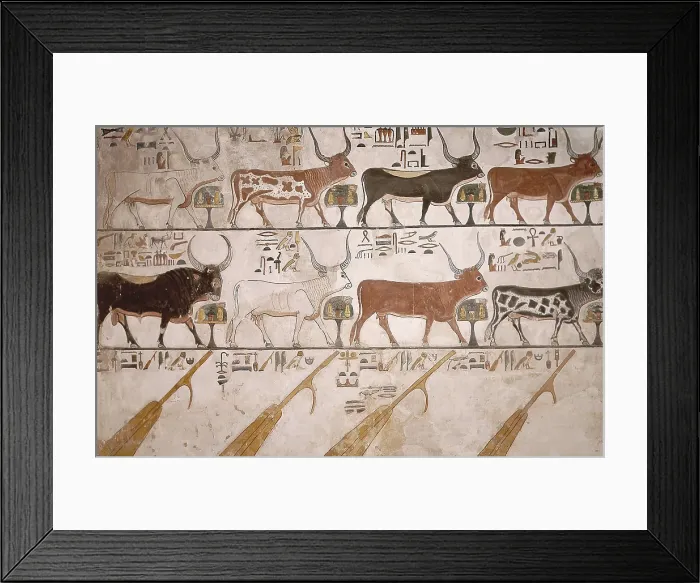 Framed Print : Tomb of Queen Nefertari. EGYPT. Dayr al-Bahri. Valley of the Queens. Tomb of Queen Nefertari. The Seven Cows ans the Sacred Bull. Egyptian art. New Kingdom. Painting