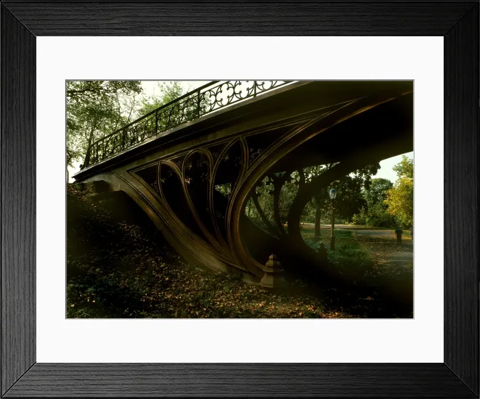 Framed Print : New York City, Central Park's Gothic Arch, view from bridlepath looking northeast showing detail of cast-iron gothic motifs in spandrel, photograph by Jet Lowe, circa 1980s