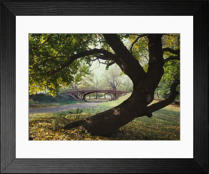 Framed Print : New York City, Central Park's Gothic Arch, view from bridlepath looking southwest, photograph by Jet Lowe, circa 1980s