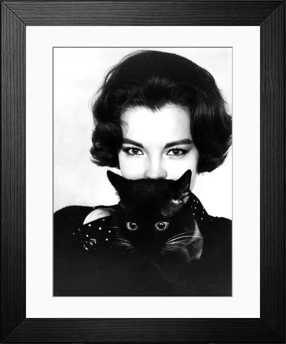 Framed Print : Romy Schneider, 1965
