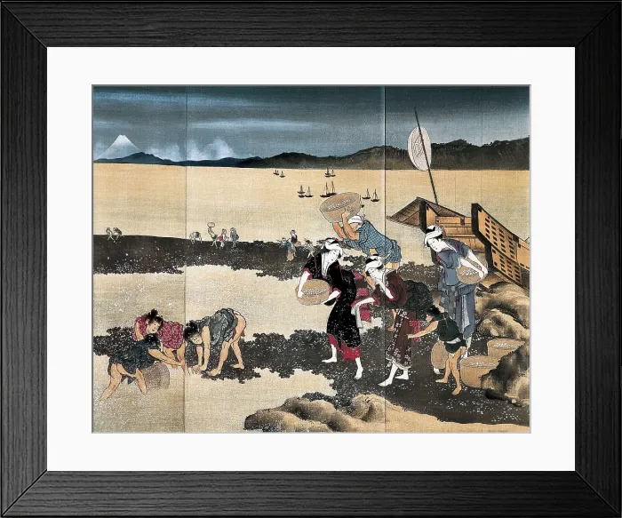 Framed Print : HOKUSAI, Katsushika (1760-1849). Mussel Fishing. Work belonging to 'ukiyo-e' genre. Japanese art. Tokugawa shogunate period. Painting. Private Collection