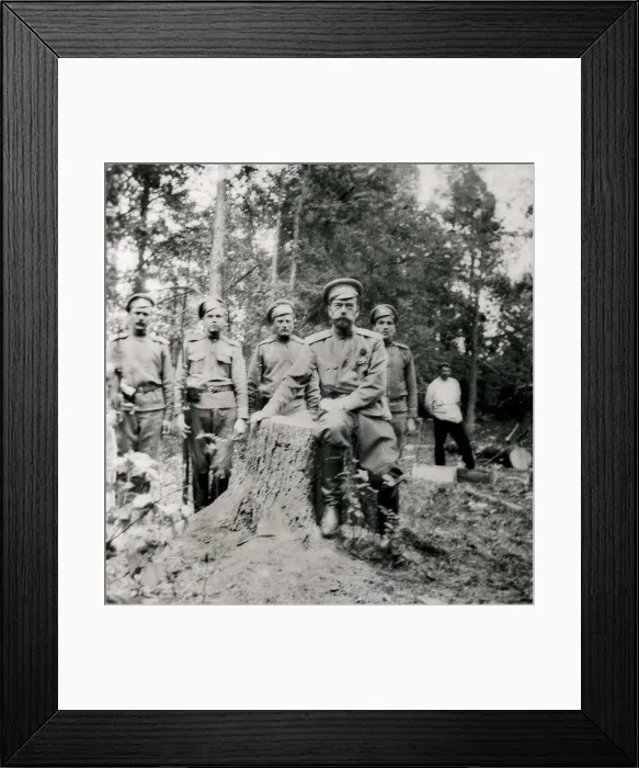 Framed Print : Russian Revolution (1917). Nicholas II under arrest in Tobolsk (Siberia). AISA / Everett Collection**US SALES ONLY**