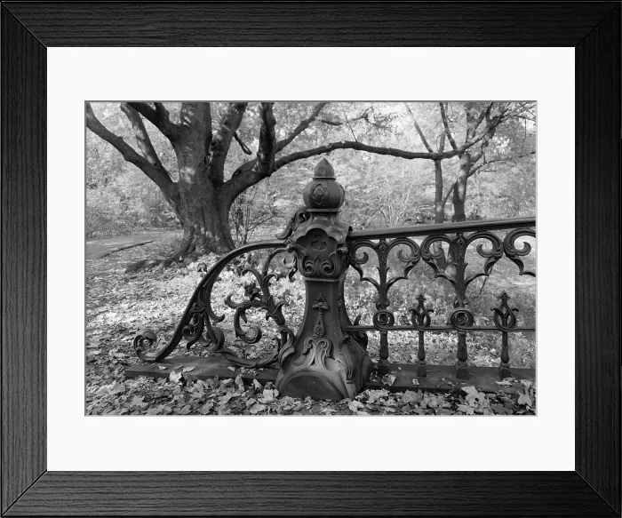 Framed Print : New York City, Central Park, bridge #27, detail of end of balustrade, photograph by Jet Lowe, circa 1980s