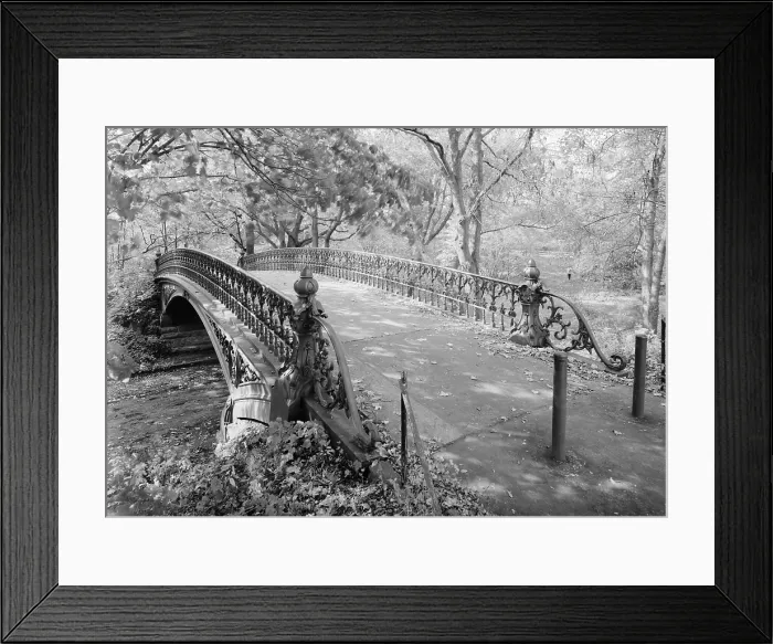 Framed Print : New York City, Central Park, bridge #27, view from deck of bridge looking southwest, photograph by Jet Lowe, circa 1980s