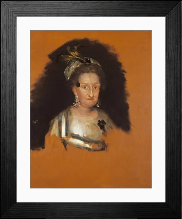Framed Print : GOYA Y LUCIENTES, Francisco de (1746-1828). Infanta Maria Josefa of Spain. 1800. Oil on canvas. SPAIN. Madrid. Prado Museum. AISA / Everett Collection**US SALES ONLY**