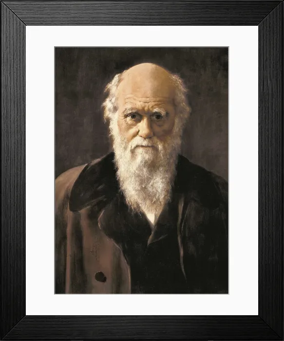 Framed Print : COLLIER, John (1850-1934). Charles Robert Darwin. 1883. Detail. Portrait. Victorian classicism art. Oil on canvas. UNITED KINGDOM. London. National Portrait Gallery Framed Print : COLLIER, John (1850-1934). Charles Robert Darwin. 1883. Detail. Portrait. Victorian classicism art. Oil on canvas. UNITED KINGDOM. London. National Portrait Gallery