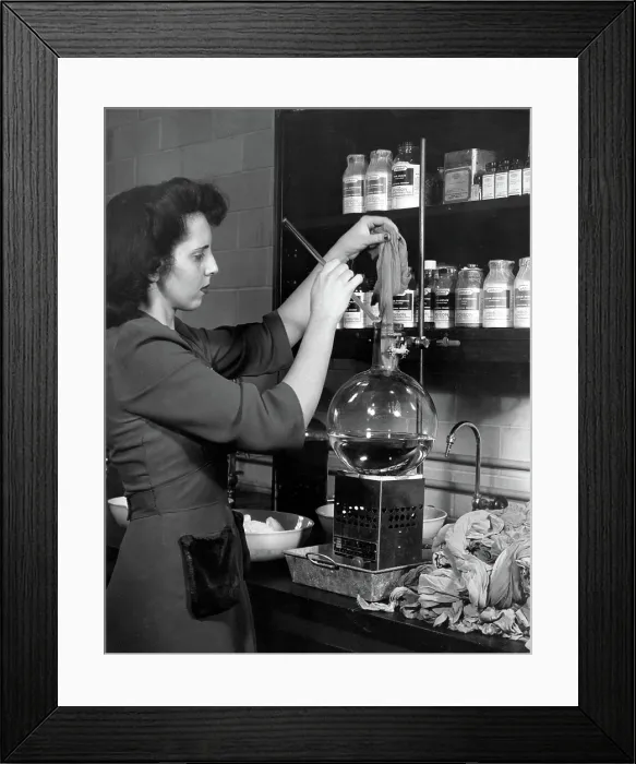 Framed Print : DuPONT COMPANY LABORATORY-- Woman starting a pair of used nylons through a process developed at the laboratory which chemically unravels the stockings all the way back to their