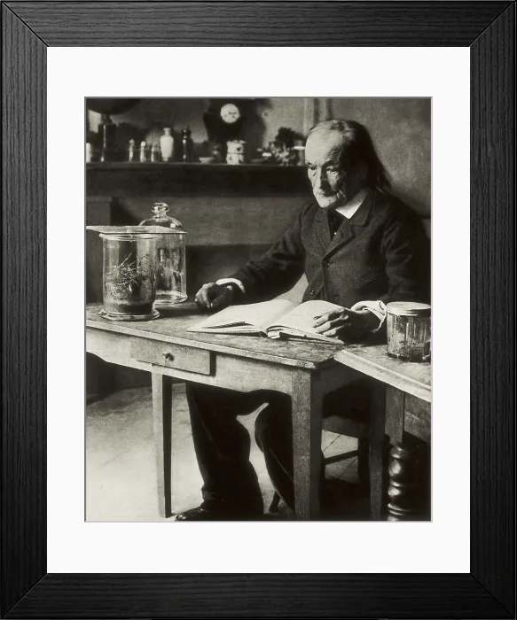 Framed Print : FABRE, Jean Henri Casimir (1823-1915). Frech entomologist and science divulgator. AISA / Everett Collection**US SALES ONLY**