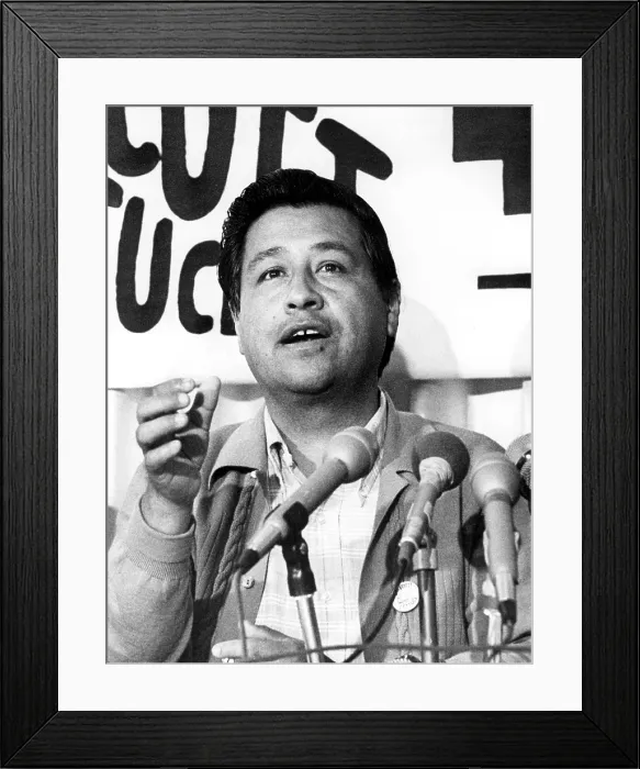 Framed Print : LOS ANGELES: Cesar Chavez, leader of the United Farm Workers, announces at a news conference that the union has started another nationwide boycott of a farm product--this time
