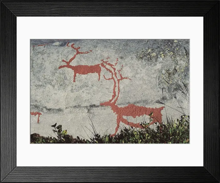 Framed Print : NORWAY. FINNMARK. Petroglyphs of Alta. Rock No. 7. Neolithic art. Engraving. AISA / Everett Collection**US SALES ONLY**