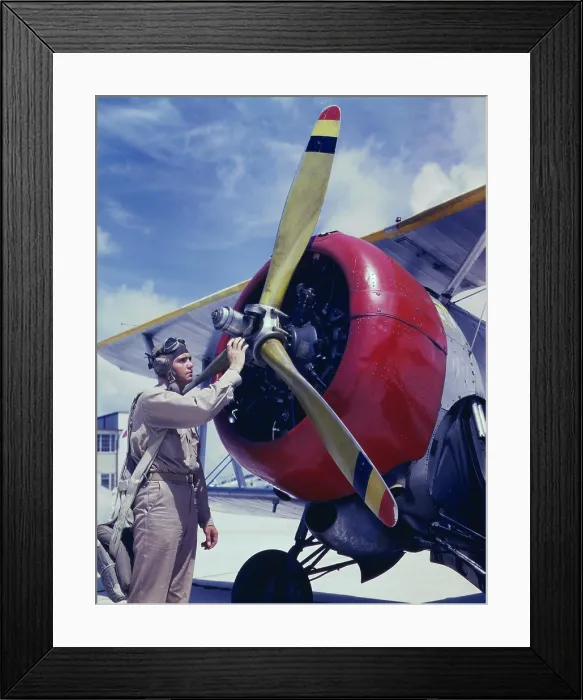 Framed Print : World War II, Cadet Thanas, at the Naval Air Base, photograph by Howard R. Hollem, Corpus Christi, Texas, 1942