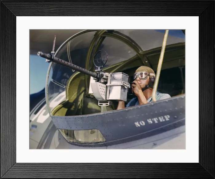 Framed Print : World War II, Jesse Rhodes Waller, A.O.M. third class, tries out a 30-calibre machine gun he has just installed on a Navy plane, Naval Air Base, photograph by Howard R