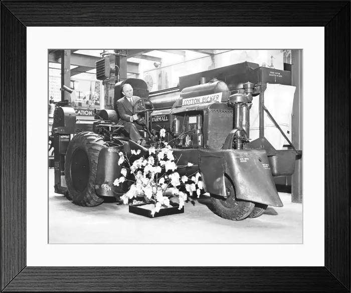 Framed Print : Mechanical cotton picker developed in 1936. Machine harvesters transformed cotton agriculture after introduction the 1930s Framed Print : Mechanical cotton picker developed in 1936. Machine harvesters transformed cotton agriculture after introduction the 1930s