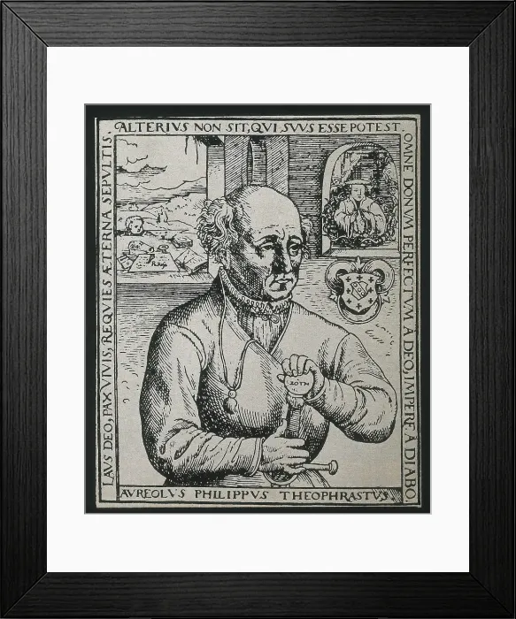 Framed Print : PARACELSUS, Philippus Aureolus (1493-1541). Engraving (16th c.). Xylography. AISA / Everett Collection**US SALES ONLY**
