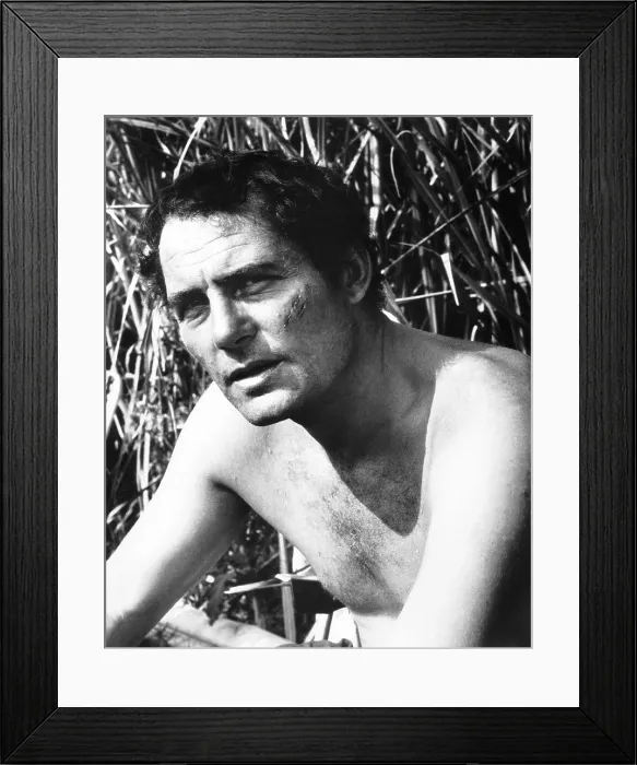 Framed Print : FIGURES IN A LANDSCAPE, Robert Shaw, 1970