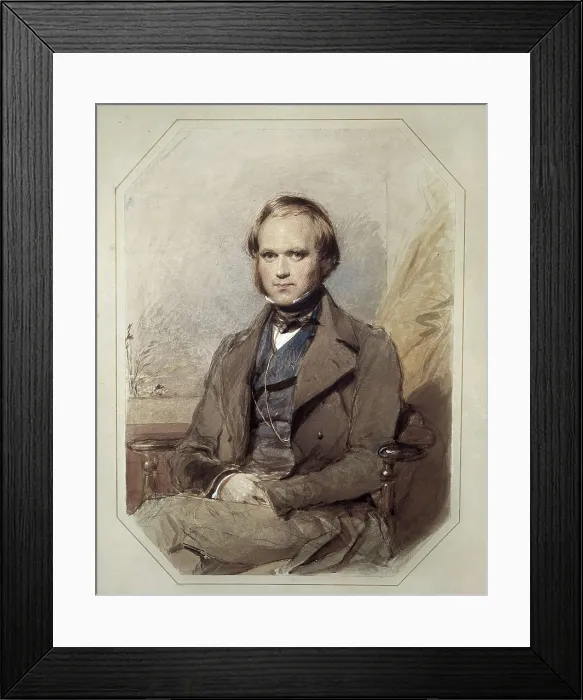 Framed Print : DARWIN, Charles Robert (1809-1882). Litography. UNITED KINGDOM. ENGLAND. Down. Down House. AISA / Everett Collection**US SALES ONLY** Framed Print : DARWIN, Charles Robert (1809-1882). Litography. UNITED KINGDOM. ENGLAND. Down. Down House. AISA / Everett Collection**US SALES ONLY**