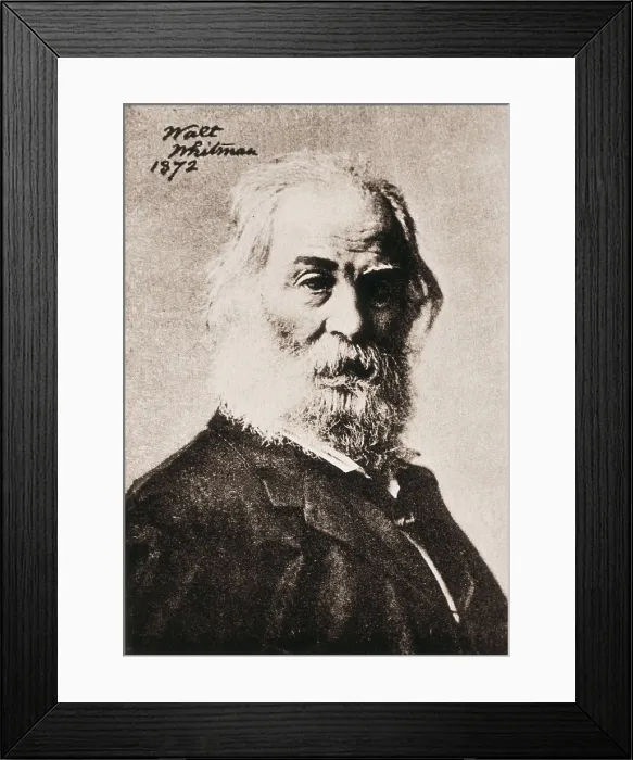 Framed Print : WHITMAN, Walt (1819-1892). Portrait of Walt Whitman. AISA / Everett Collection**US SALES ONLY** Framed Print : WHITMAN, Walt (1819-1892). Portrait of Walt Whitman. AISA / Everett Collection**US SALES ONLY**