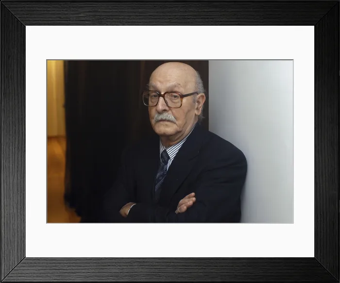 Framed Print : VILANOVAAntonio. Writer. 2005. Oscar Elias / AISA / Everett Collection (184485)**US SALES ONLY**