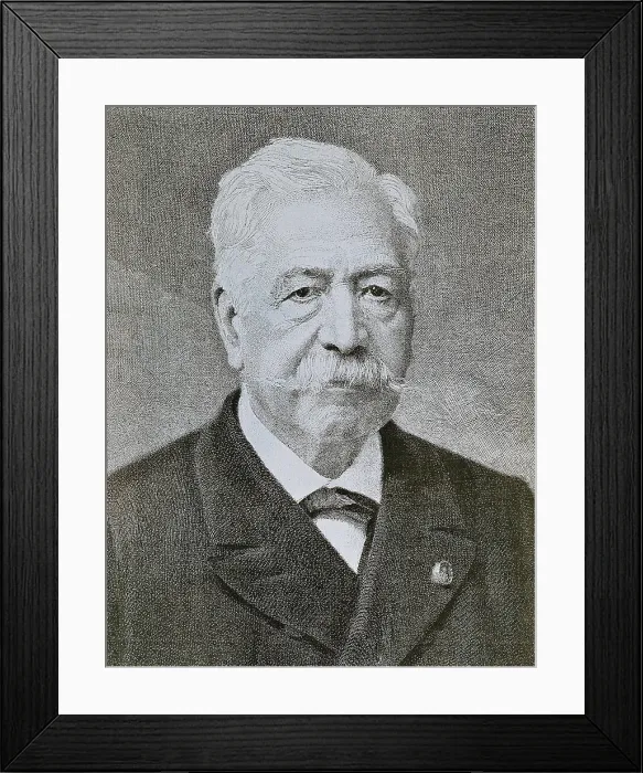 Framed Print : Lesseps, Ferdinand, vicomte de (1805-1894). French diplomat, maker of the Suez Canal (1859-1869). AISA / Everett Collection**US SALES ONLY** Framed Print : Lesseps, Ferdinand, vicomte de (1805-1894). French diplomat, maker of the Suez Canal (1859-1869). AISA / Everett Collection**US SALES ONLY**