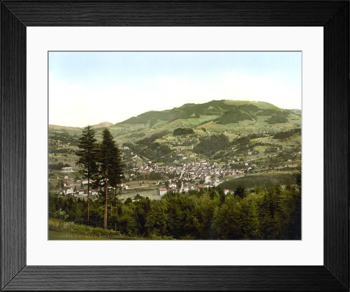 Framed Print : Switzerland, Wald, general view, Zurich, photochrom, circa early 1900s