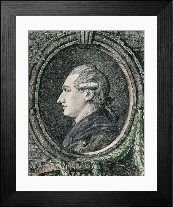 Framed Print : GOETHE, Johann Wolfgang von (1749-1832). Etching. AISA / Everett Collection**US SALES ONLY**