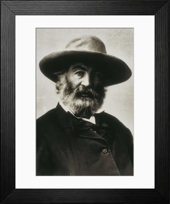 Framed Print : WHITMAN, Walt (1819-1892). Portrait of Walt Whitman. AISA / Everett Collection**US SALES ONLY** Framed Print : WHITMAN, Walt (1819-1892). Portrait of Walt Whitman. AISA / Everett Collection**US SALES ONLY**