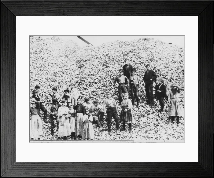 Framed Print : Children workers husking oysters, Mississippi, 1911.. Courtesy: CSU Archives  /  Everett Collection
