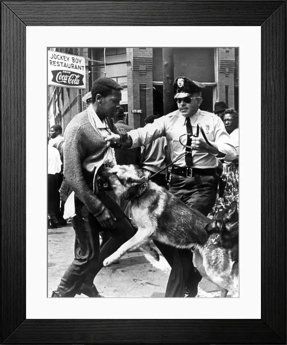 Framed Print : A Black man is attacked by a policeman and dog, 1963.. Courtesy: CSU Archives  /  Everett Collection