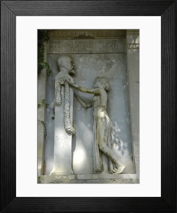 Framed Print : CROATIA. ISTRIA. Brijuni Islands National Park. Plaque homage to Dr. Robert Koch. Sculpture. AISA / Everett Collection**US SALES ONLY** Framed Print : CROATIA. ISTRIA. Brijuni Islands National Park. Plaque homage to Dr. Robert Koch. Sculpture. AISA / Everett Collection**US SALES ONLY**