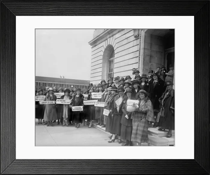 Framed Print : Prohibition, women from New Jersey at the Capitol to a prohibition hearing, signs read: Know your courts Study your politicians, Liberty in Law