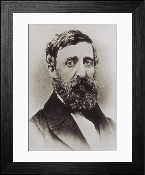 Framed Print : THOREAU, Henry David (1817-1862). Photo by Geo. F. Parlow. UNITED STATES OF AMERICA. Washington. Library of Congress. AISA / Everett Collection**US SALES ONLY**