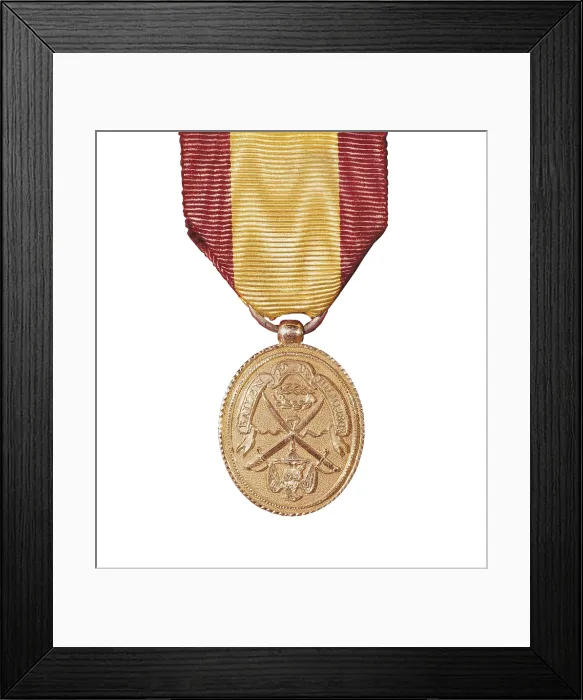 Framed Print : Spain. Peninsular War (1808-1814). Medal of Bailn, decoration created by the Junta Suprema Gubernativa on 11th August 1808 to commemorate the Battle of Bailn (19th July 1808)