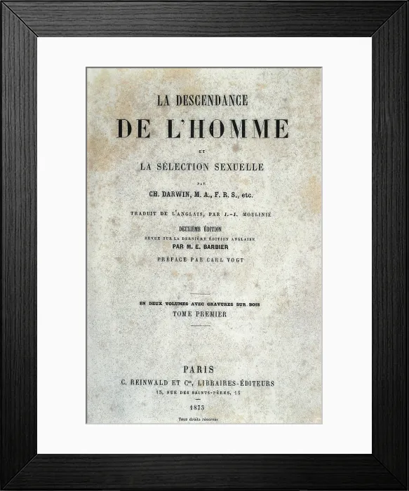 Framed Print : DARWIN, Charles Robert (1809-1882). British naturalist, author of the theory of evolution by natural selection Framed Print : DARWIN, Charles Robert (1809-1882). British naturalist, author of the theory of evolution by natural selection
