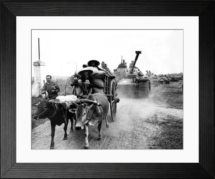 Framed Print : U.S. Tanks behind a South Vietnamese ox cart, Trung Lap, South Vietnam, January 17, 1966. Courtesy: CSU Archives / Everett Collection
