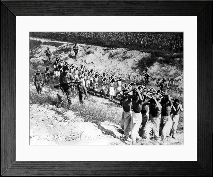 Framed Print : 9 / 25 / 53--SOUTH KOREA: Some 40 North Korean prisoners are led to a prison camp after having been flushed out of corn fields in the Han River area during the drive for Seoul