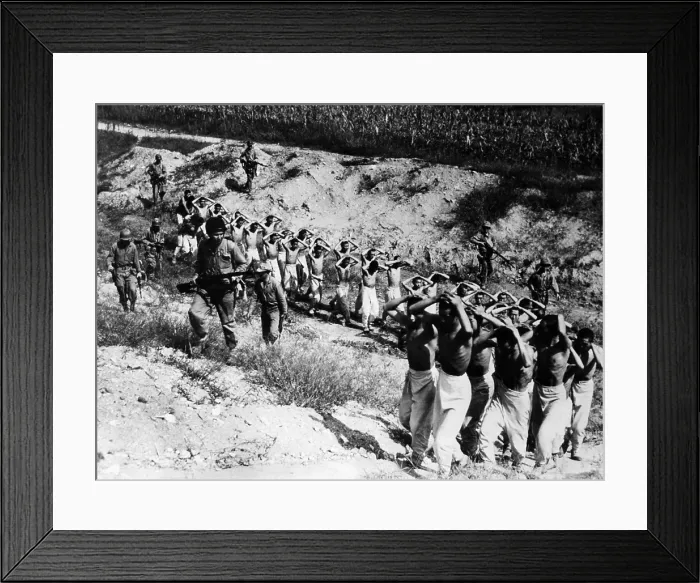 Framed Print : North Korean prisoners being led to a prison camp in South Korea, 1953.. Courtesy: CSU Archives  /  Everett Collection