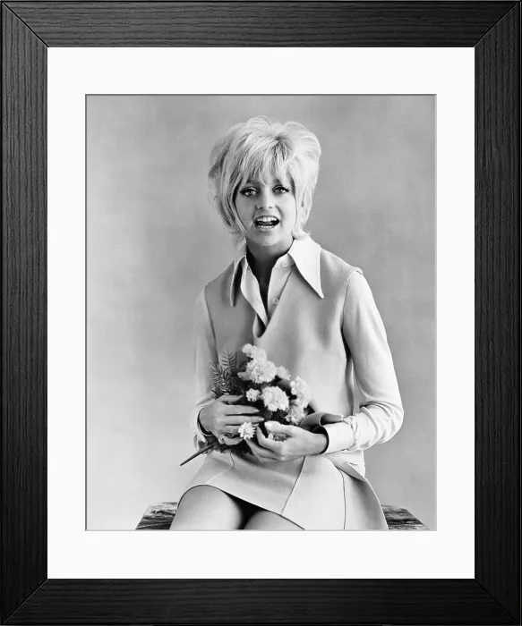 Framed Print : CACTUS FLOWER, Goldie Hawn, 1969 Framed Print : CACTUS FLOWER, Goldie Hawn, 1969