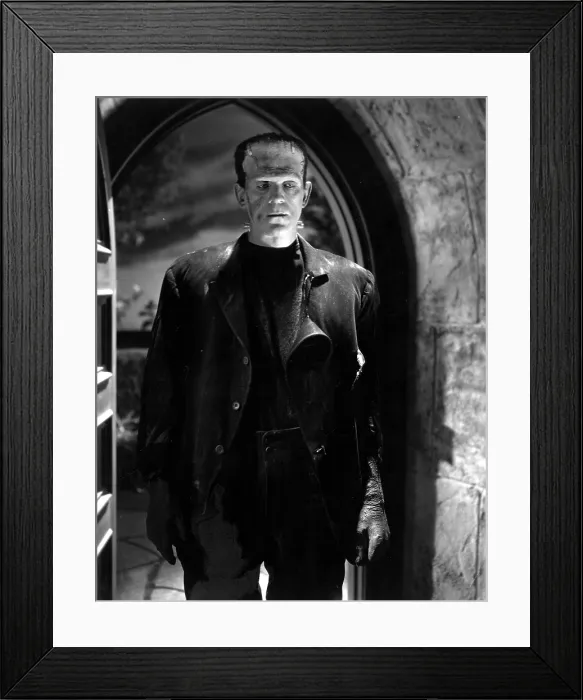Framed Print : BRIDE OF FRANKENSTEIN, Boris Karloff, 1935
